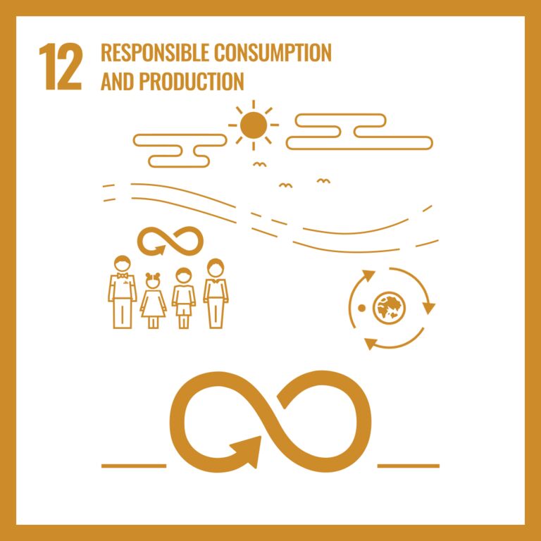 UN Sustainable Development Goals